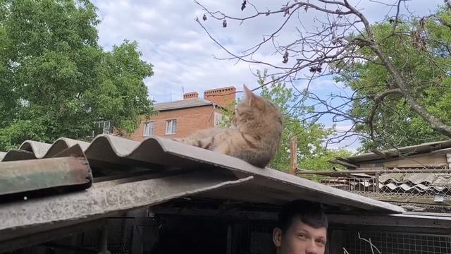 Делаем тушенку.Приехал гость.Прогулка по Армавиру.