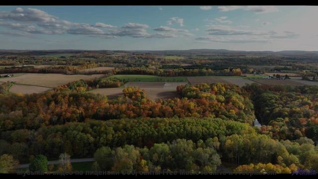 Пейзажи и ритмы вместе дарят личный восторг - Sick On You -- Duncan Reid and the Big Heads -- Live a