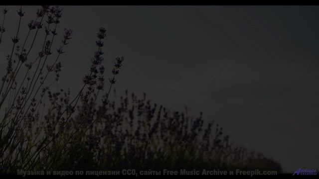 Почему пары смотрят это видео перед свадьбой Секрет раскрыт! - Tomorrow-Has-Gone -- Ketsa -- Summer