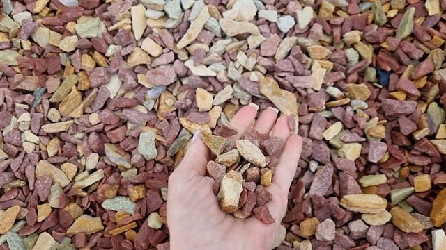 1000111710.mp4