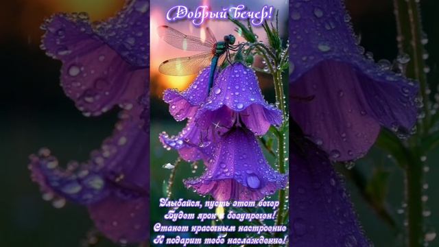 Доброго,прекрасного,душевного вечера💜💙🌠