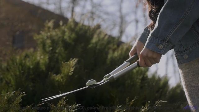 Поля и саунд пробуждают забытые мечты - Yowies-inst -- Shaolin Dub -- Macro Micro