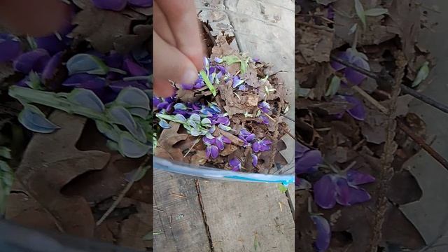 1000013522.mp4