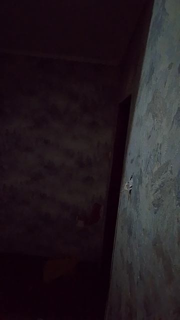 1000000191.mp4