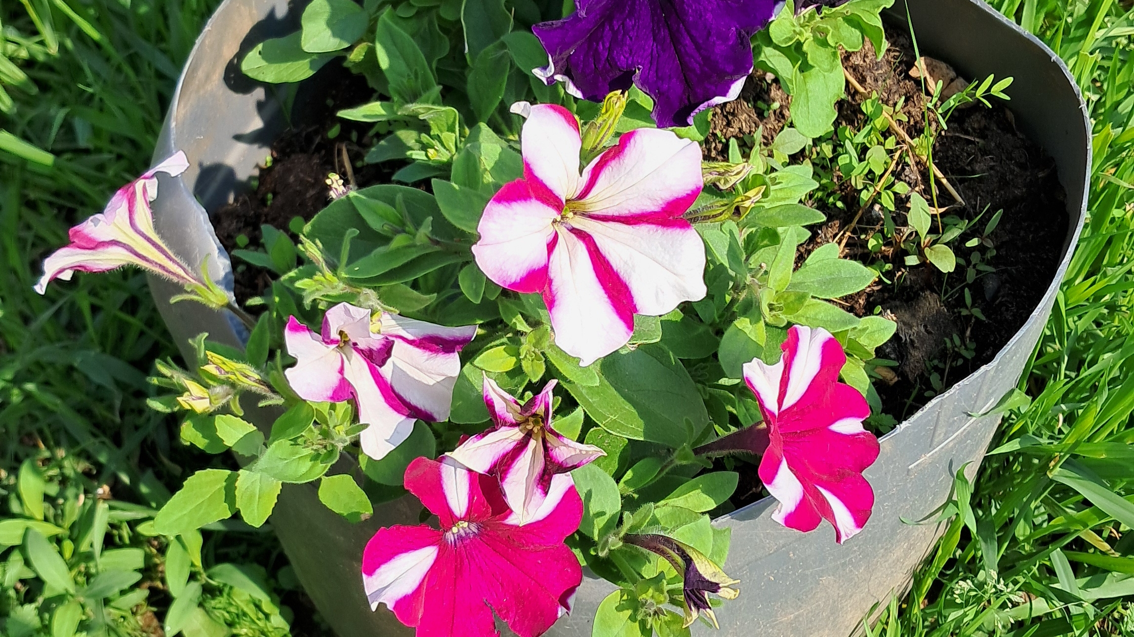 Открытие летнего сезона