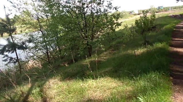 1142, 16.05.2021, Орловский район, лесной массив, лес, деревня, Вязки, Абашевский, пруд, карьерный,