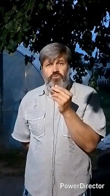 1000037796.mp4/shorts