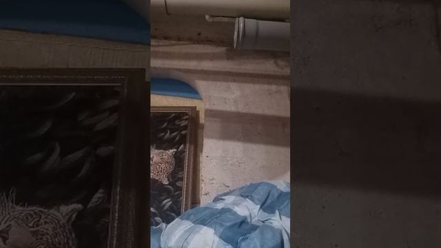 гзг