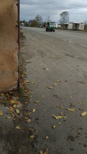 VID_20201102_130958