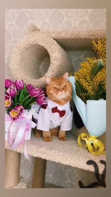 НАШИ ЖИВОТНЫЕ. 16.06.2025г. 🥰🥰🥰 Они для нас СТРАНИЦА В ЖИЗНИ, а мы для них И ЕСТЬ ВСЯ ЖИЗНЬ! 🤥🤗