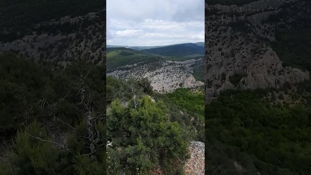 Чёрная реченька