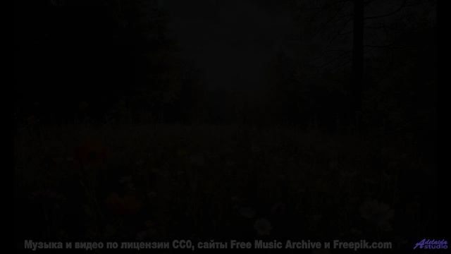 Эта мелодия делает мир ещё прекраснее - I like to Ejaculate -- Lance Romance -- Session On Devils Da