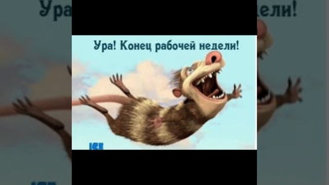 мемы