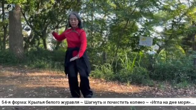 055 лабиринты кунфу