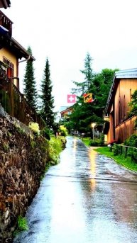 Запечатлено в нужную секунду