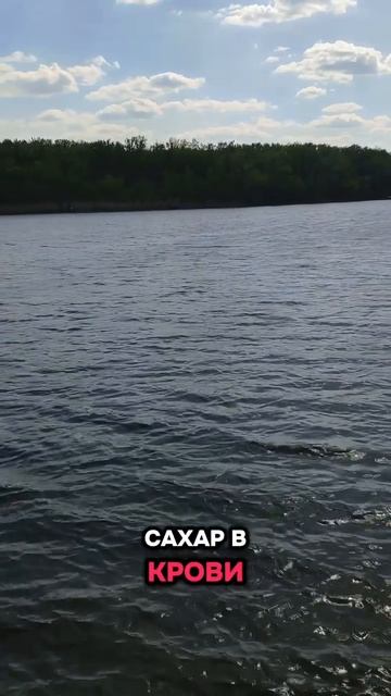 Мои года, мое богатство