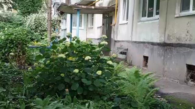 1000008590.mp4