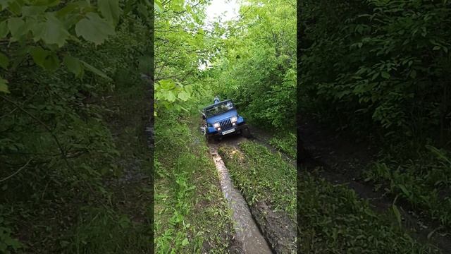 Канава недалеко от дома)))) Jeep Wrangler YJ 4.0