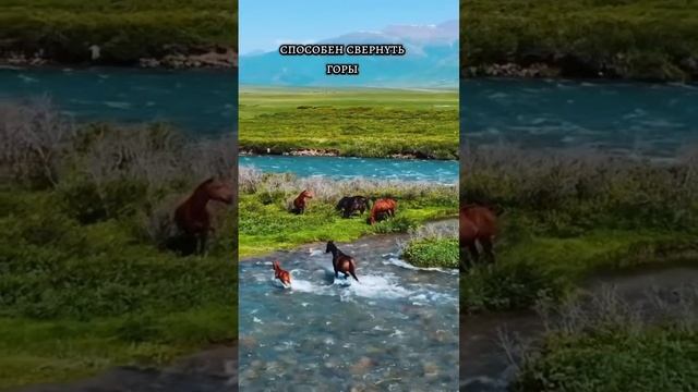 тенденции дня