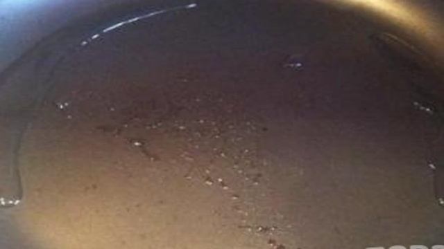 Гречневая лапша с морепродуктами