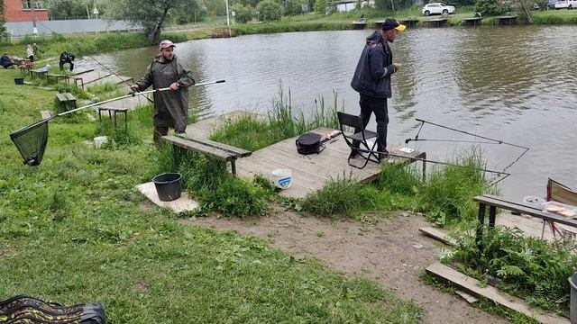 Светлые Горы Карп 15.06.2025г.