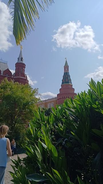 Субтропики у стен Московского Кремля