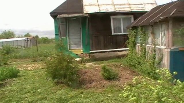 дача год за годом.