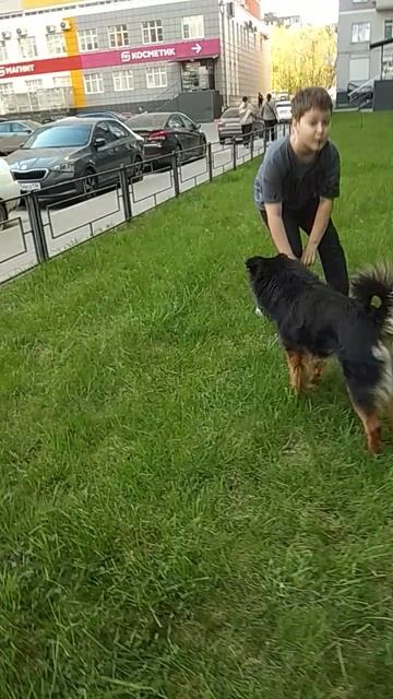 VID_20250419_170813.mp4