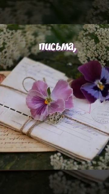 VID_20250615_175503_215.mp4