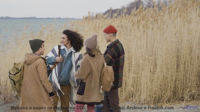 Видео, которое нельзя смотреть без нейроимплантов - или можно - Needing Silence, Needing Peace -- A