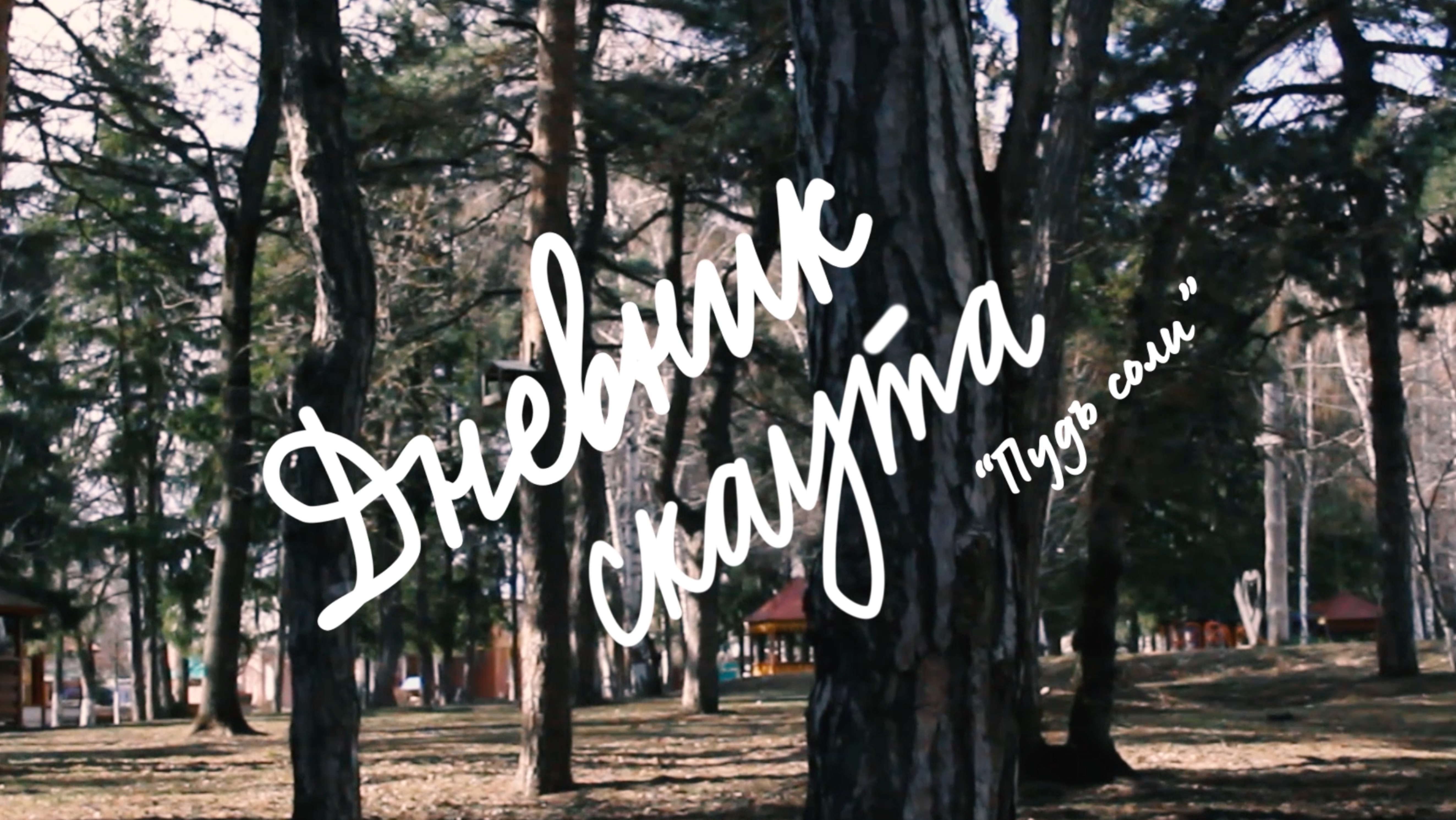 Толоконникова А.С. Дневник скаута «Пудъ соли» - дневниковое кино