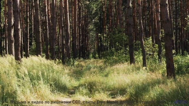 Пейзажи звучат как личный гимн под эту мелодию - Two Pictures (Re-recording) -- Christian H. Soetema