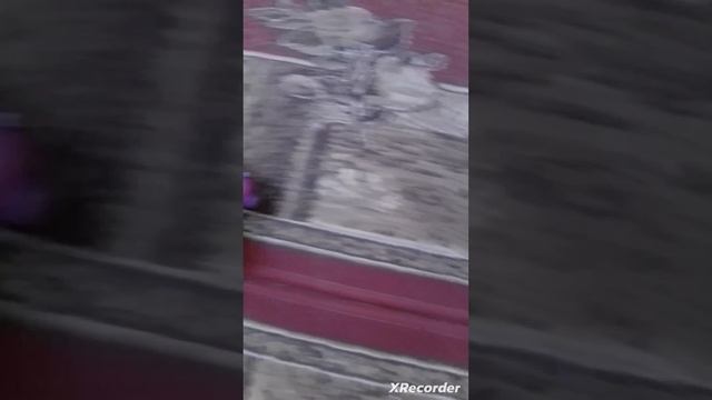 почему зомби стали сильнее