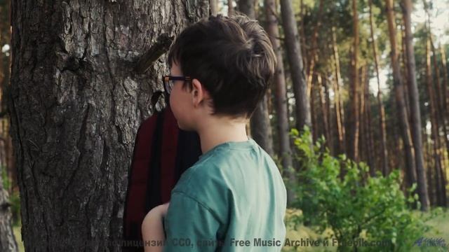 Включите и почувствуйте, как границы исчезают! - The way I roll -- Expendable Friend -- The Tidy Shi