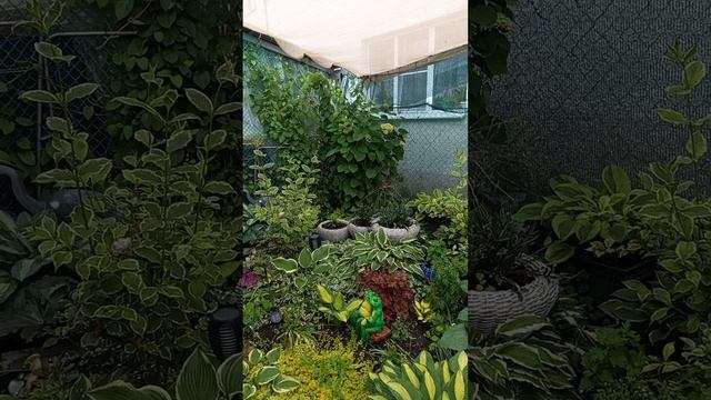 1000248132.mp4