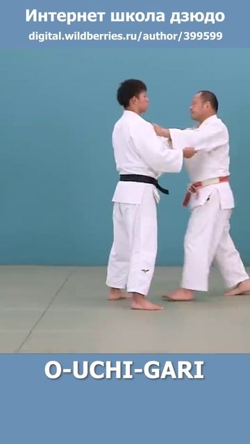 Интернет школа дзюдо. O-UCHI-GARI4