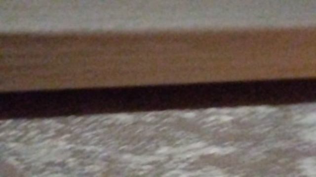 VID_20250615_062955.mp4