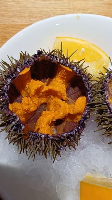 Морские ежики
