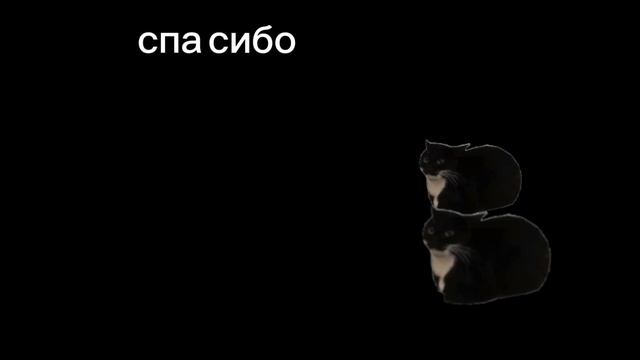 фильм мир мемов #1