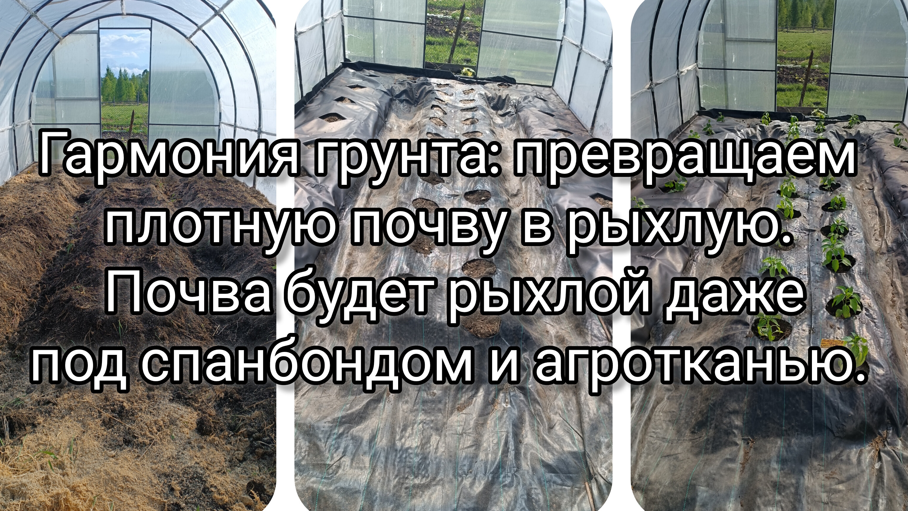 Как превратить почву из плотной, как камень, в рыхлую даже под спанбондом и агротканью