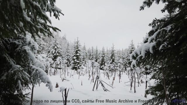 Музыка ведёт туда, где начинается личный рай - Die Stadtmusikanten -- Phillip Gross -- Quart