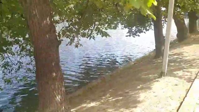 Чистый пруд на казарменном переулке. Цикл Старинные пруды России.