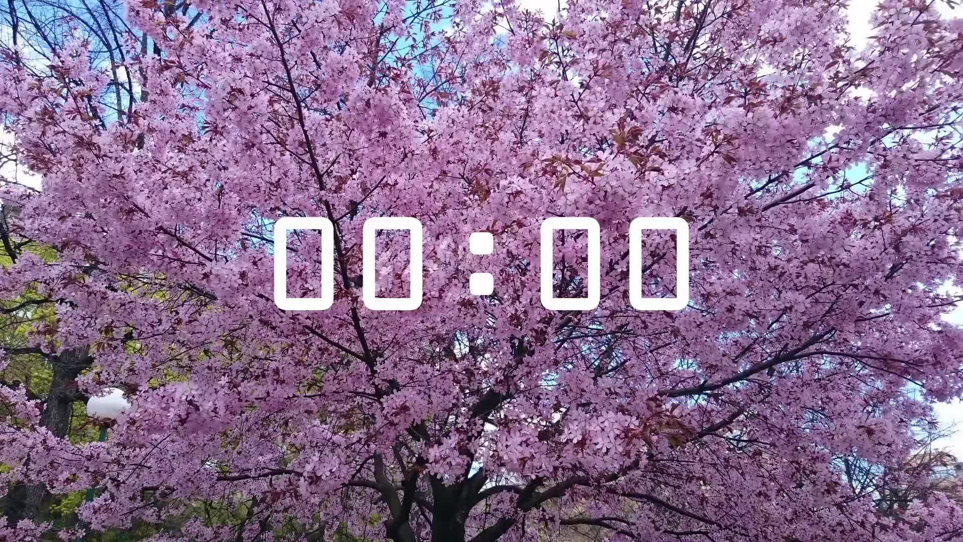 Богослужение 15.06.2025