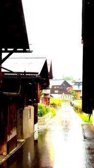 Неожиданные кадры