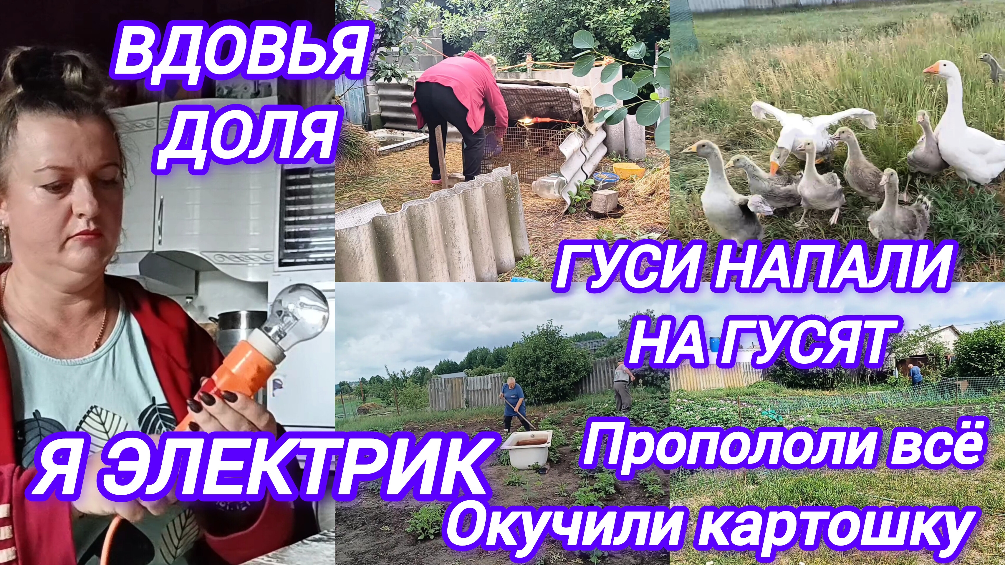 ВДОВЬЯ ДОЛЯ. ЭЛЕКТРО ПРОВОДКА ТОЖЕ НА МНЕ. ГУСИ НАПАЛИ НА ГУСЯТ. СУПЕР ЧИСТЫЙ ОГОРОД