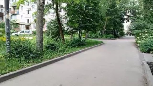1000008528.mp4