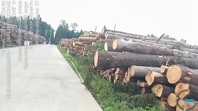 video5364271628509280618