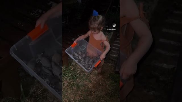 Спасли миллион детишек черепашек 🐢