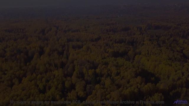 Когда деревья шепчут, а музыка подпевает! - Primavera en la Guerra del Sonido -- Silva de Alegria --