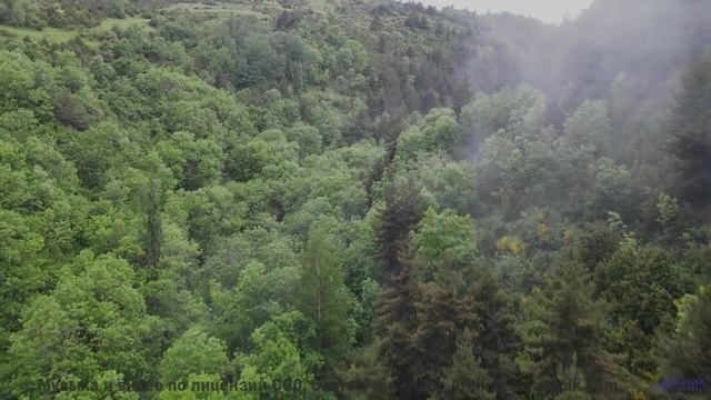Природа в спектрах, невидимых человеческому глазу - технологии открывают тайны! - Spirit Walk With M